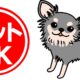 ペット飼育可※抱きかかえられる大きさ2匹迄