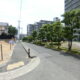 西側道路