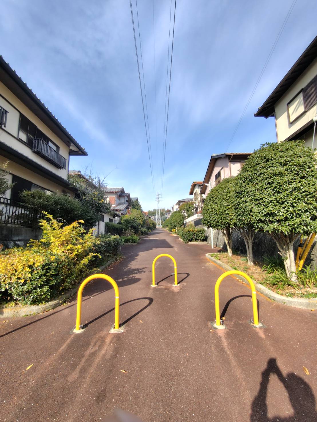裏の遊歩道