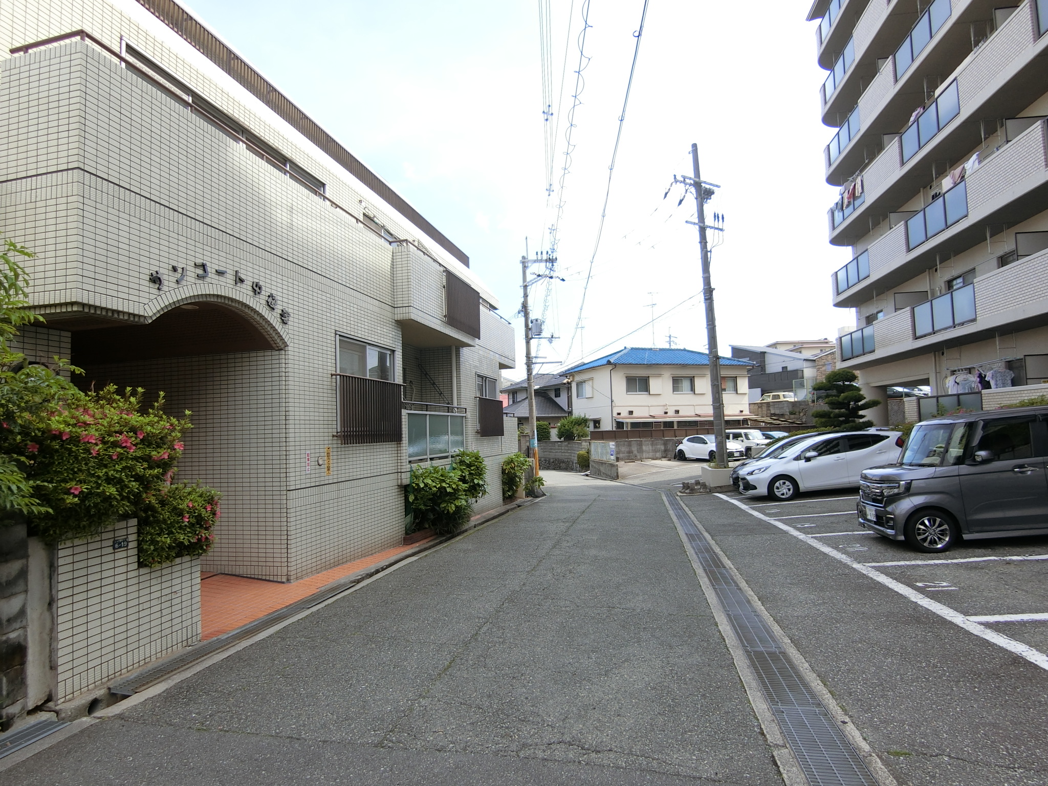 前面道路