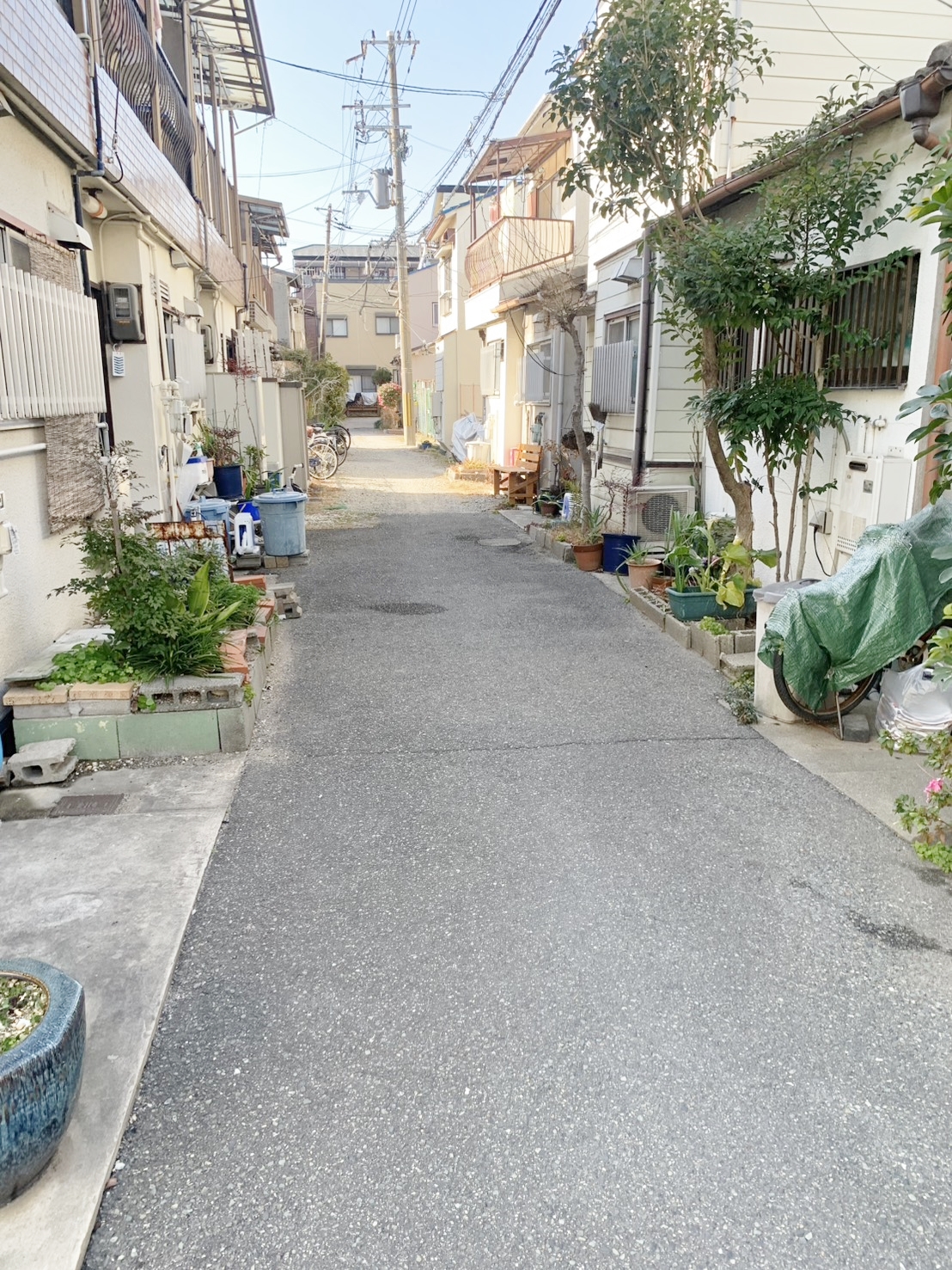 前道 前道