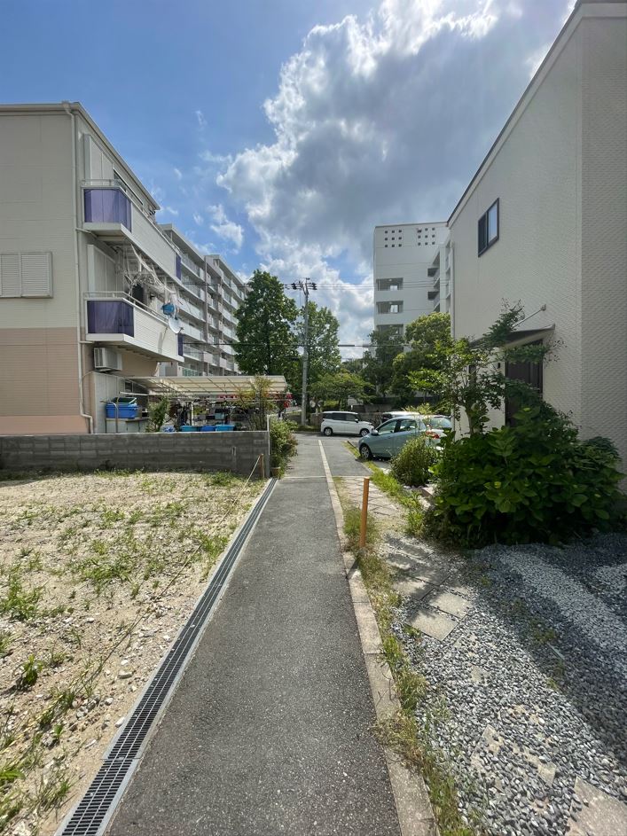 前面道路(周辺)