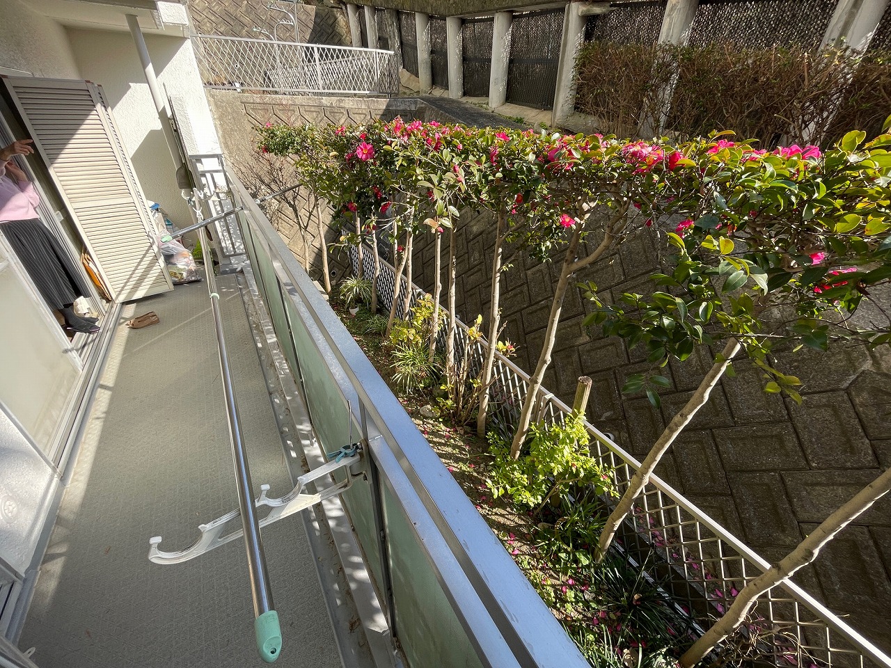 バルコニー&専用庭 バルコニー&専用庭