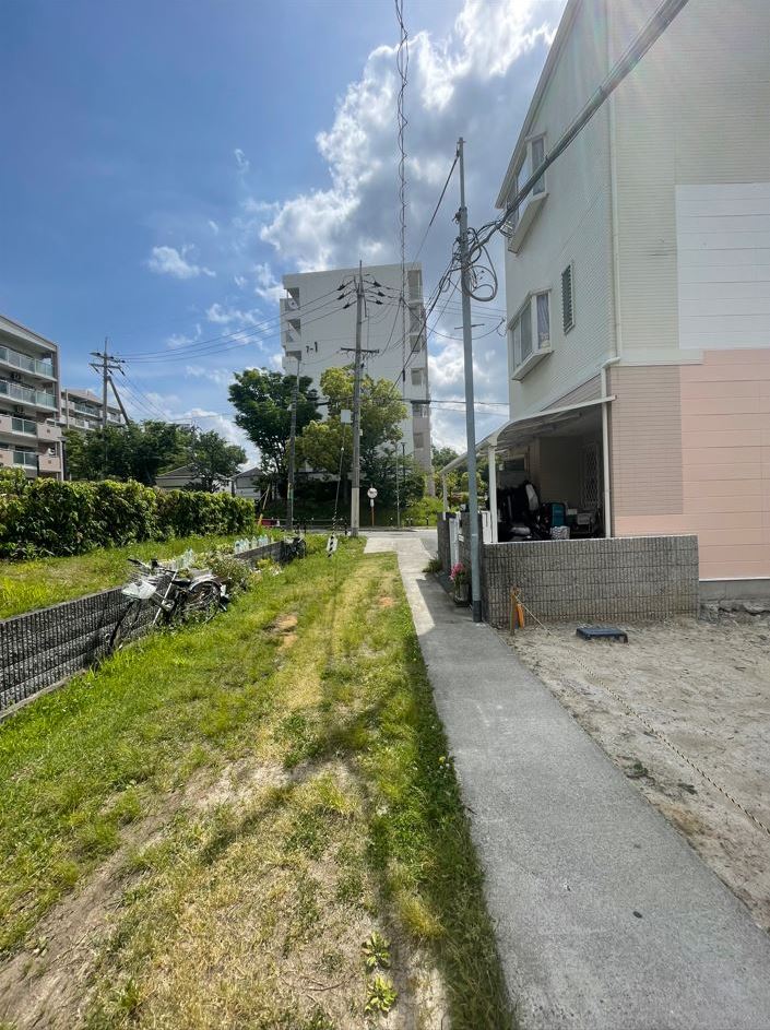 前面道路(周辺)