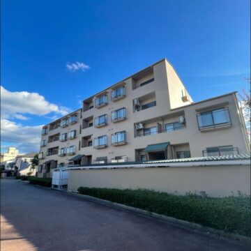 (外観) (外観)
