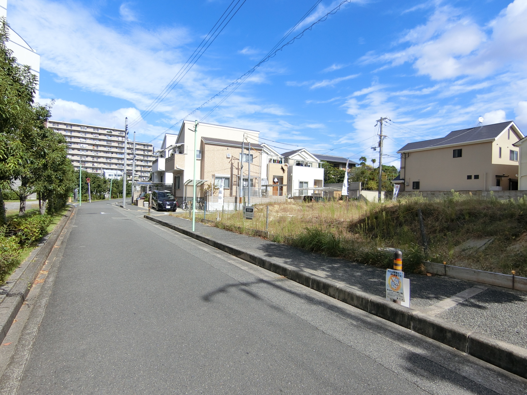 西側道路