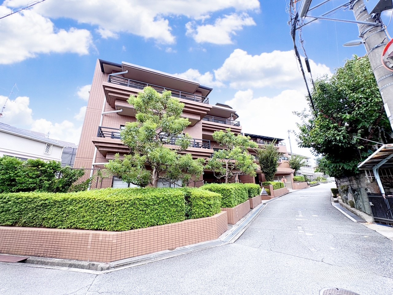 (外観) (外観)