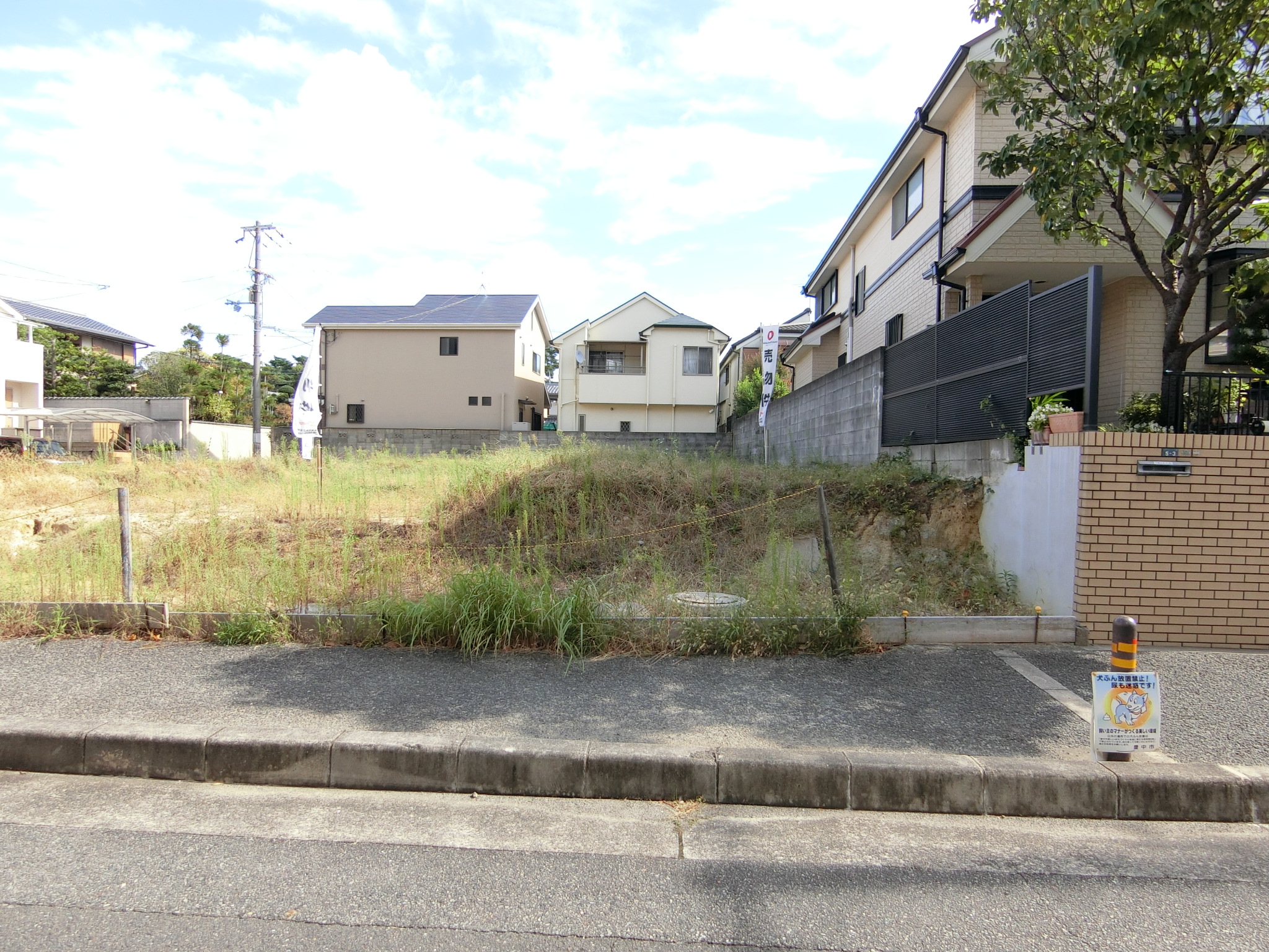 D号地外観 D号地外観