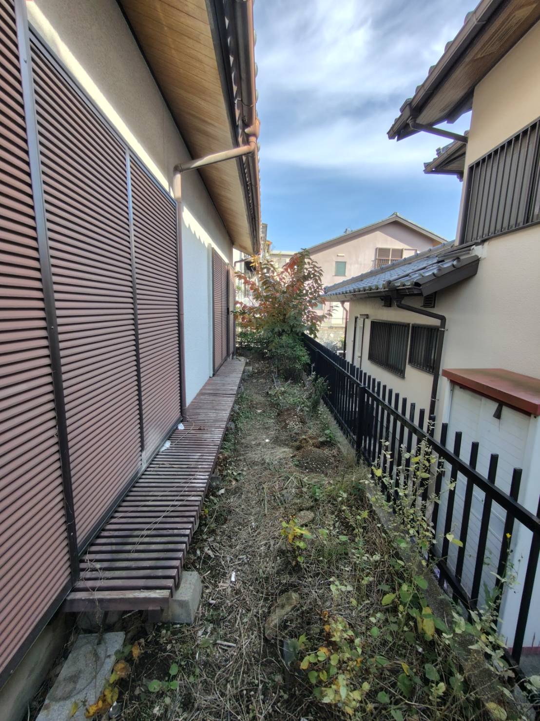 南面の庭