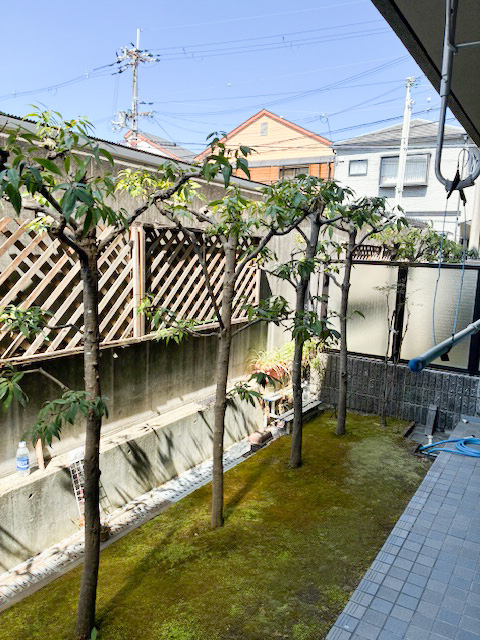 庭